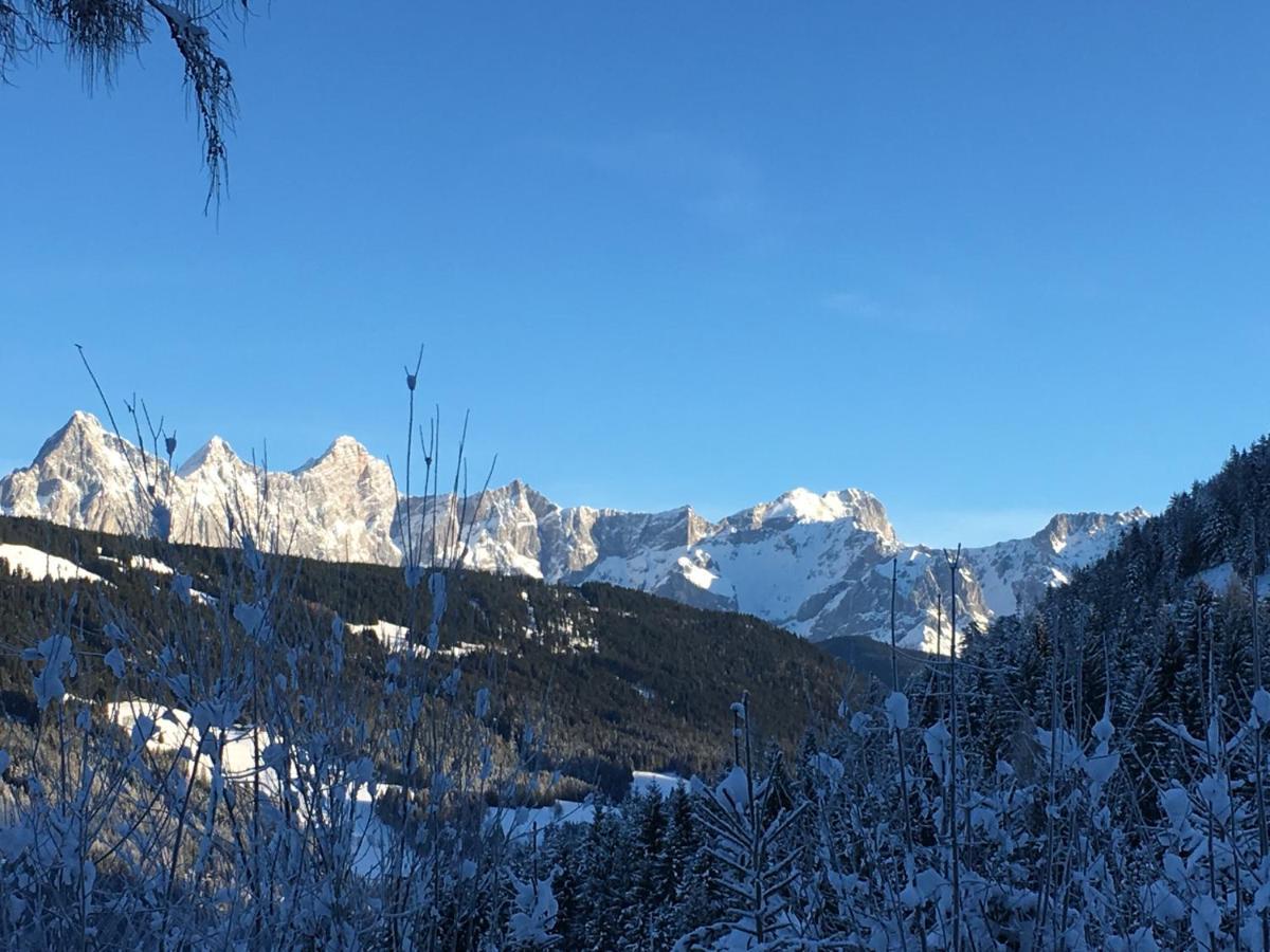 Appartement Sonnberg Forstau  Bagian luar foto